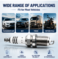 Vente en gros usine, personnalisation OEM, bougie d'allumage pour voitures, camions et moteurs de véhicules de tourisme