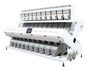 Sorting Grading Black Pepper Seeds Colour Sorter Machine Optical Color Sorter