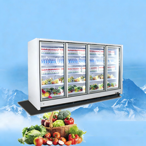 Congélateur de haute qualité en acier inoxydable et vitrine de congélation avec porte en verre pour utilisation en cuisine commerciale - Product Image 1