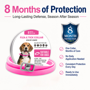 Collier <span class=keywords><strong>anti</strong></span>-puces pour <span class=keywords><strong>chien</strong></span> réglable, <span class=keywords><strong>naturel</strong></span>, longue durée, protection de 8 mois - Product Image 3