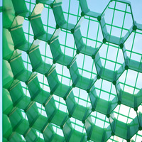 Geomalla de HDPE Plástica Moderna Personalizada, de Alta Resistencia y Tenacidad, para Construcción de Carreteras, Caminos de Entrada y Césped