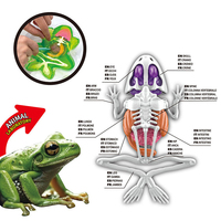 Dissectible chauve-souris lézard Piranha grenouille modèles jouet éducatif anatomie pour enfants Science apprentissage biologie enseignement cadeau interactif