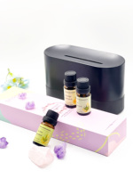 3 Packs d'Huiles Essentielles d'Aromathérapie Marque Privée Coffret Cadeau 10ml Huile de Lavande pour Diffuseur Relaxation et Apaisement