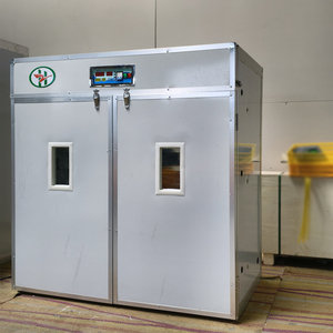 Incubatrice Elettrica Completamente Automatica 12V DC 110V 220V AC per <span class=keywords><strong>2000</strong></span> Uova di Gallina - Product Image 3