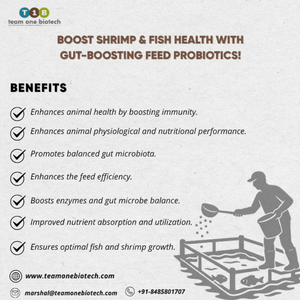 Probiotiques additifs alimentaires de soutien de biosécurité d'étang à poissons - Product Image 1