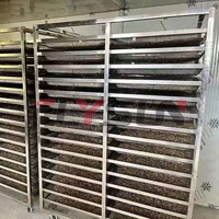 Four de séchage à air chaud automatique en acier inoxydable de précision industrielle pour l'élevage d'insectes, vers de farine, larves de mouches solives, larves de BSF