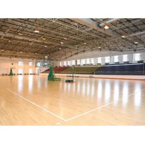 Prefab Steel Structure Basketball Arena Space Frame Steel Truss Roof Sport Hall Building