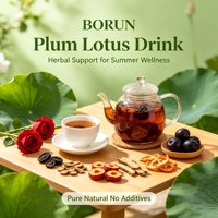 Sachets de thé aux feuilles de lotus et aux fleurs de prunier Mume 150g (5g*30) – Élimine la chaleur, rafraîchit l'été, nourrit le Yang, stimule la rate, favorise l'appétit et la digestion, dissout les mucosités et soulage la toux