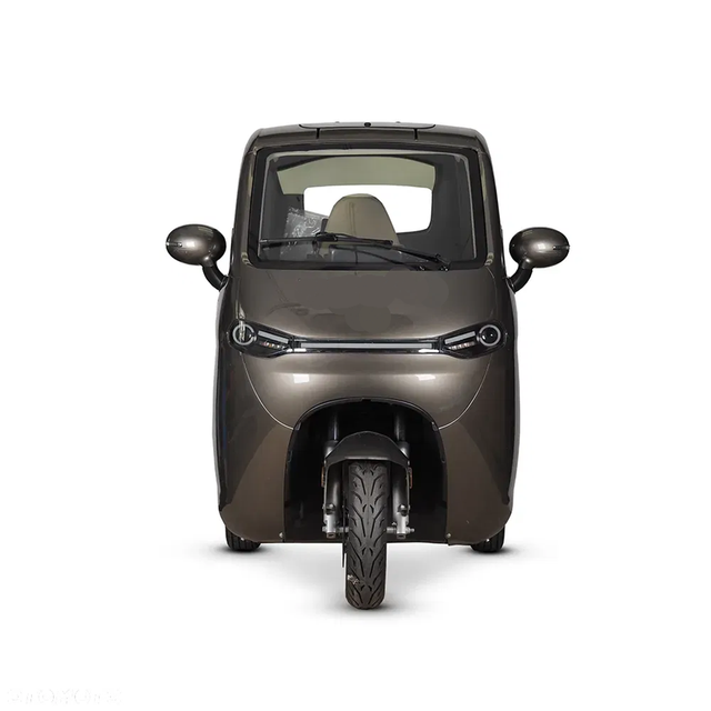2024 Wholesale ELION A1 EEC Electric Tricycle Car Adult Mini Electric Car 1500w Enclosed 3 Wheel Electric Tricycle