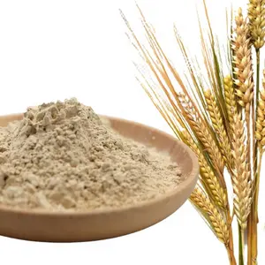 Phụ gia thực phẩm gạo nâu protein Bột thủy phân protein gạo nâu