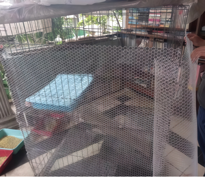 100% HDPE bền bảo vệ dây lưới Net cho gà Gia cầm Gà trang trại hàng rào bảo vệ - Product Image 5