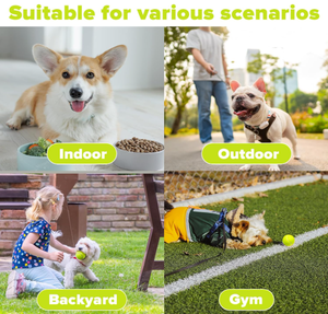 Otomatik köpek topu başlatıcısı yavru topu atıcı makinesi interaktif köpek oyuncaklar küçük köpekler için kapalı ve açık - Product Image 5