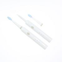 Brosse à dents électrique pour adultes, nettoyage dentaire, prix d'usine, légère, portable, brosses à dents intelligentes