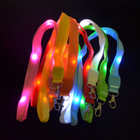 Lumières LED colorées personnalisées Premium, sangle de cou, porte-clés lumineux, lanière scintillante