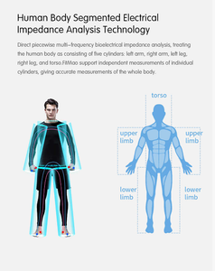 Dispositivo Profesional de Análisis de Salud con Electrodo Táctil de 8 Puntos, Analizador de Composición Corporal, Monitor de Masa Magra y Grasa Segmentaria - Product Image 5