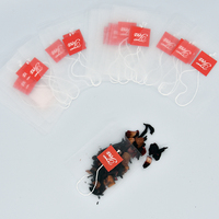 Sachets de thé en fibre de maïs PLA transparents biodégradables 58x70mm Filtres pyramidaux thermoscellés Produit d'emballage et d'impression écologique