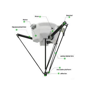 Machine à emballer à grande vitesse de boîtes <span class=keywords><strong>en</strong></span> carton Machine à cartonner à main robotique Spider Machine à emballer <span class=keywords><strong>en</strong></span> carton entièrement automatique - Product Image 4