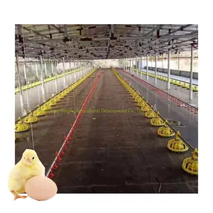 Chicken Feeding Automation Equipment Floor management poultry pan feeder for chicken automatic feeding system