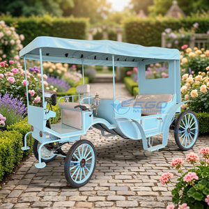 Calèche électrique de balade Cendrillon à double rangée, calèche personnalisée pour mariage, calèche sans chevaux, vente chaude. - Product Image 1