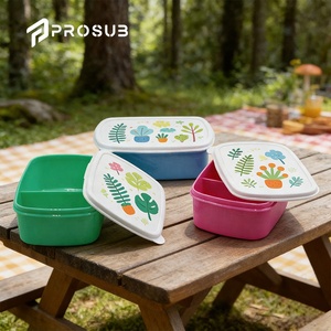 Prosub Back To School scatole per il pranzo a sublimazione vuoto OEM stampabile rettangolo plastica <span class=keywords><strong>2</strong></span> scomparti scatola per il pranzo a sublimazione per bambini - Product Image 1