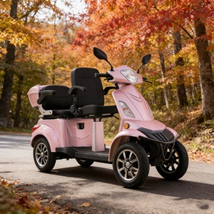 Trottinette Électrique à Quatre Roues de Haute Qualité 2026 avec Panier - Modèle Shopping/Vista Quater-L1 - Product Image 1