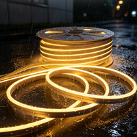 Bande LED néon flexible en silicone étroite, étanche IP65, 12V, intensité variable, CRI90, pour éclairage linéaire de signalétique et décoration d'armoires