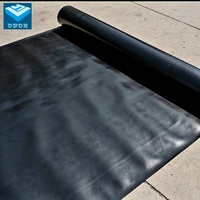 Rouleau de géomembrane HDPE imperméable, lisse et texturé, double texture, norme ASTM GM13, anti-infiltration pour l'exploitation minière et les réservoirs