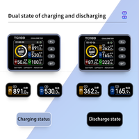 BW-TC169 12V 24V 36V 48V 60V testeur de batterie au plomb moniteur indicateur de capacité de batterie