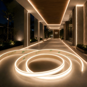 Bande lumineuse COB flexible à haute luminosité pour intérieur et extérieur, AC220V, étanche, en silicone extrudé, bande LED COB - Product Image 1