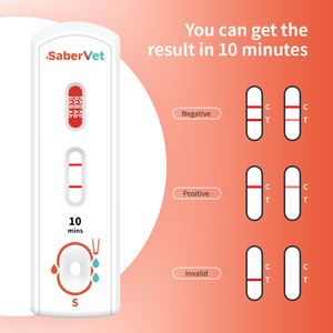 <span class=keywords><strong>Test</strong></span> rapide de diagnostic à haute sensibilité en une étape, <span class=keywords><strong>test</strong></span> d'anticorps de la rage, kit de <span class=keywords><strong>test</strong></span> rapide d'anticorps de la rage - Product Image 5
