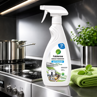 Nettoyant anti-graisse Fabienne 600 ml pour cuisinières, fours, grils, micro-ondes, hotte, casseroles, métal, émail et acier inoxydable, approvisionnement B2B