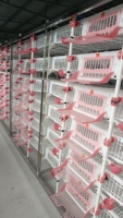 Cage de caille automatique en plastique pvc à vendre