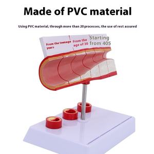 Yaşlılar İçin Deren DR Koronari Arter Kardiyovasküler Modeli Tromboz Kalp Hemşiresi Eğitimi Tıp Bilimi Sertleştirme - Product Image 2