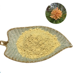 Fornitura di alimenti integratore di nutrizione per uso alimentare pino polline disgregamento in polvere estratto di polline di pino in polvere per 1KG - Product Image 1