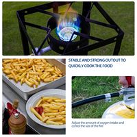 Friteuse à gaz propane d'extérieur en aluminium de 12 Qt, 50 000 BTU, avec panier intérieur nano-enduit pour la friture de poisson, de poulet, de frites, pour l'extérieur