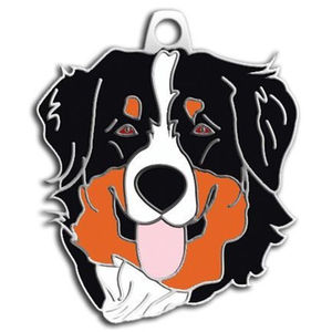 Pengumpan Kucing RFID Sensor Pasif Terbatas 125Khz Tahan Air, Tag Kalung Hewan Peliharaan, Kartu Chip RFID, Implan Chip RFID Untuk Rumah - Product Image 1