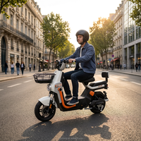 Scooter électrique 1000W à double siège, cyclomoteur urbain avec panier, 3 modes de vitesse, éclairage LED, vente en gros