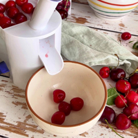 Draagbare Plastic Kersenpitter Van Voedingskwaliteit Met Transparante Verzamelaar En Zuignap Fruit-En Groentegereedschap