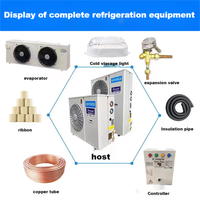 Petit ensemble complet de machine de réfrigération de congélation d'entreposage au froid intégré unités de conservation fraîches unités de condensation