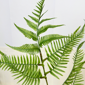 Sàn Tự Nhiên Sắp Xếp Máy Tính Để Bàn Sân Sau Và Sân Trước Thực Sự Tìm Kiếm Chất Lượng Cao Nhất Hot Bán Nhân Tạo Nhà Máy Cho Trang Trí Nội Thất - Product Image 3