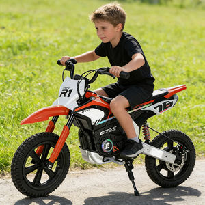 Mini Moto de Cross de Alta Potencia de 300 W para Niños con Motor de Motocross Súper de 36 V, Producto Inteligente de Entretenimiento Deportivo Electrónico - Product Image 1