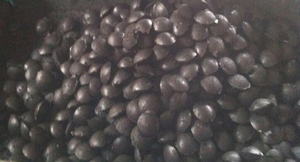 Machine à fabriquer des briquettes de charbon de bois à petite échelle, excellent <span class=keywords><strong>rapport</strong></span> qualité-<span class=keywords><strong>prix</strong></span>, machines à fabriquer du charbon de bois - Product Image 6