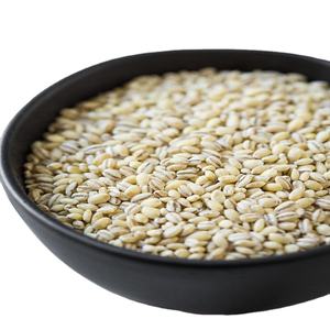 มอลต์ข้าวบาร์เลย์ออร์แกนิกคุณภาพดีที่สุด ขายตรงสำหรับอาหารสัตว์ บรรจุถุง PP 25/50 กก. ผลิตในสหรัฐอเมริกา - Product Image 1