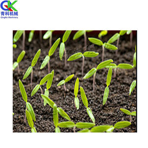 Máquina de vivero de plántulas de calabaza, para pimienta/kale/coliflor/tomate/berenjena/oleander/máquina de plántulas de flores - Product Image 6