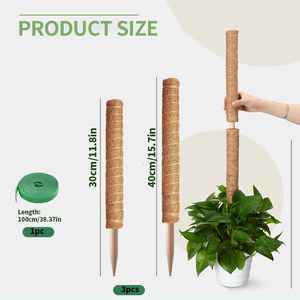 Poteau en mousse pour plantes grimpantes Bâtons de plantes hautes empilables Piquets de support en fibre de coco pour plantes en pot - Product Image 5