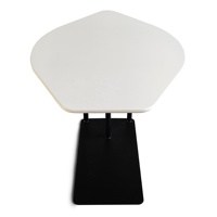 Table basse élégante de style nordique moderne, table d'appoint pour salon, table de réception, table d'appoint pour canapé