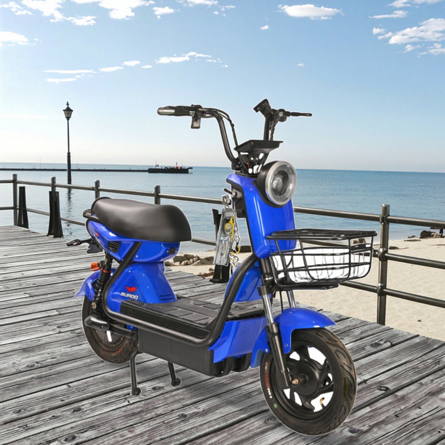 Direct Source EBIKE Budget-Friendly Folding Design 350W Brushless Motor 3-Speed Dual Suspension Ergonomic Features Top