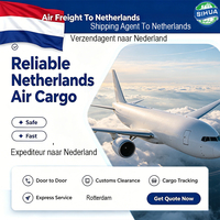 Fret Air DDP Frais de port Livraison aux Pays-Bas Amsterdam Airport Schiphol Entreposage Service d'échange de palettes
