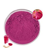 Hoge Kwaliteit Biologische Pitaya Poeder Gevriesdroogde Rode Draak Pitaya Fruit Poeder Dragon Fruit Fruit Poeder Poeder