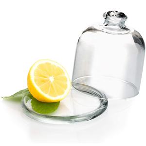 <span class=keywords><strong>Plat</strong></span> <span class=keywords><strong>en</strong></span> <span class=keywords><strong>verre</strong></span> pour citron avec couvercle, <span class=keywords><strong>cloche</strong></span> <span class=keywords><strong>en</strong></span> <span class=keywords><strong>verre</strong></span> transparent avec plateau, <span class=keywords><strong>verre</strong></span> sans BPA, sans plomb, écologique - Product Image 1